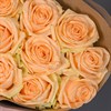 9 роз в упаковке - фото 6638