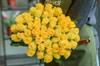 Роза Кения жёлтая 40 см - фото 6694