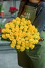 Роза Кения жёлтая 40 см - фото 6698