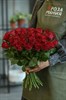 Роза Кения красная 40 см - фото 6702