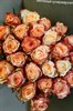 Роза Кения Крем с красным 40 см - фото 6708