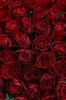 51 красная кенийская роза 40см - фото 6720