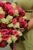 75 кенийских роз 40см под ленту - фото 6732