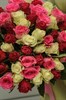 75 кенийских роз 40см под ленту - фото 6733