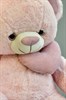 Мягкая игрушка медведь "Застенчивый Мишка", розовый - - фото 7372
