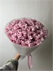 Букет кустовые хризантемы Baby Sweet 2336_D18C3 - фото 8474