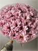 Букет кустовые хризантемы Baby Sweet 2336_D18C3 - фото 8475