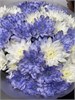 11 кустовых хризантем микс 2 2363 - фото 8617