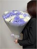 11 кустовых хризантем микс 2 2363 - фото 8618