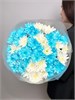 11 кустовых хризантем микс 3 2364 - фото 8620