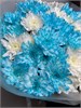 11 кустовых хризантем микс 3 2364 - фото 8624