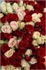 51 кустовая роза микс 2410