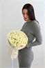 51 роза Кения белая 2429