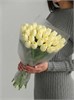 31 кремовый тюльпан 2449