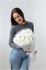9 хризантем ромашек 2481