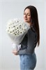 9 хризантем ромашек 2481