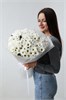 15 хризантем ромашек 2482
