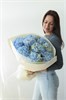 11 гортензий голубые 2491