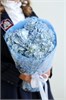 3 голубые гортензии на 1 сентября 2519
